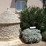 Oliva