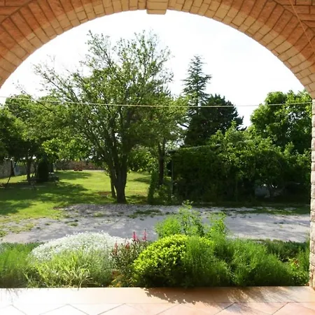 Oliva